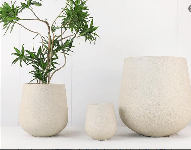 Cement Flower Pot