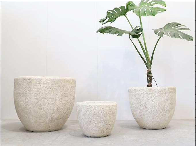 Cement Flower Pot