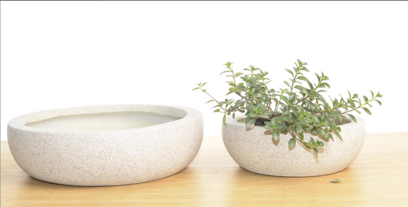 Cement Flower Pot