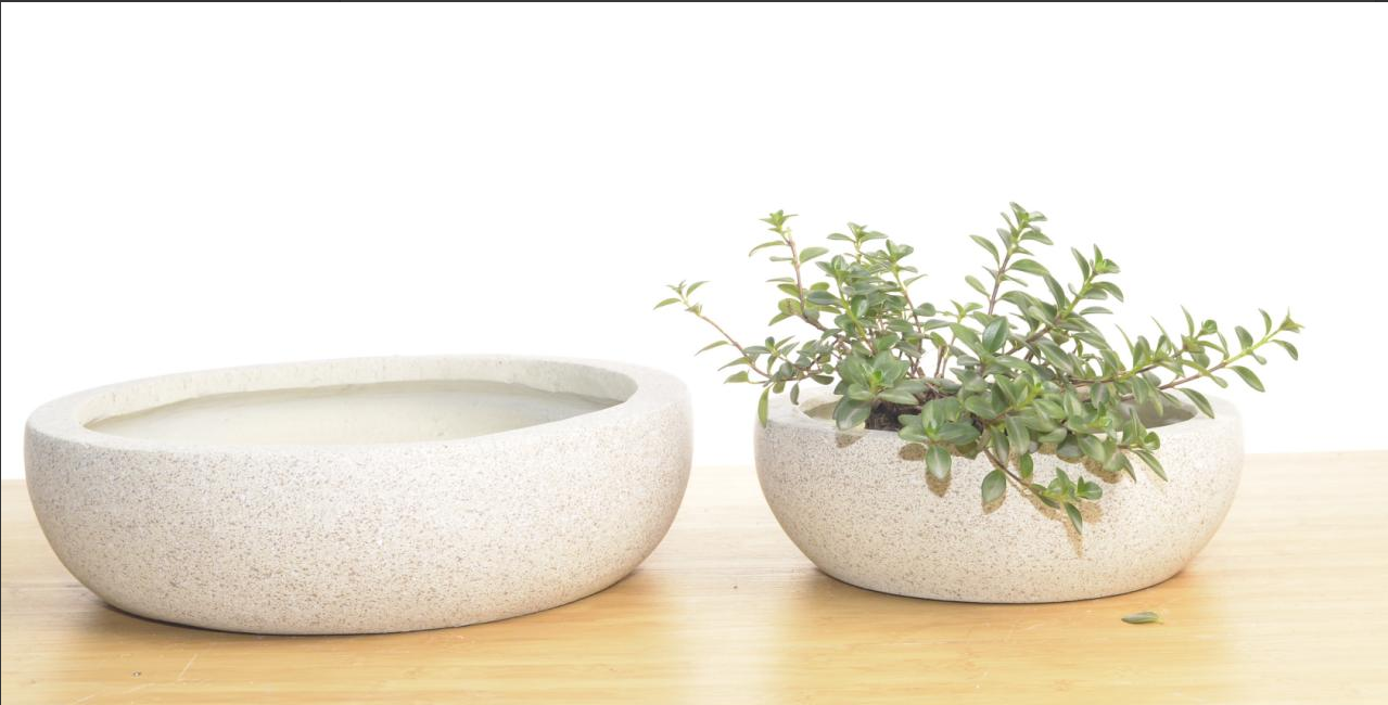 Cement Flower Pot