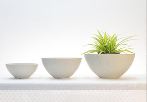 Cement Flower Pot