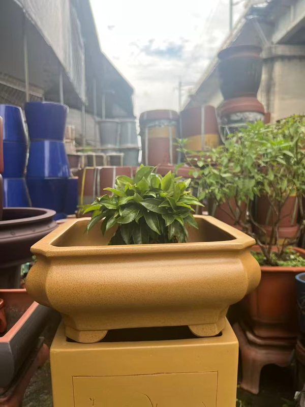 Zisha Flower Pot