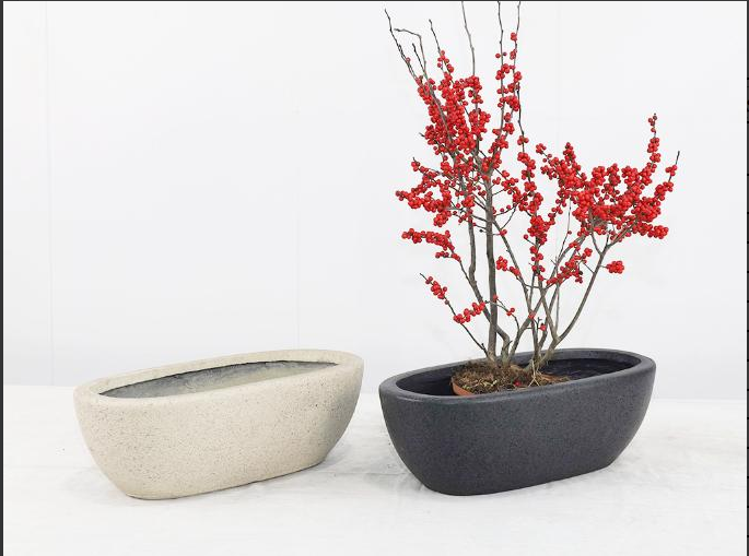 Cement Flower Pot