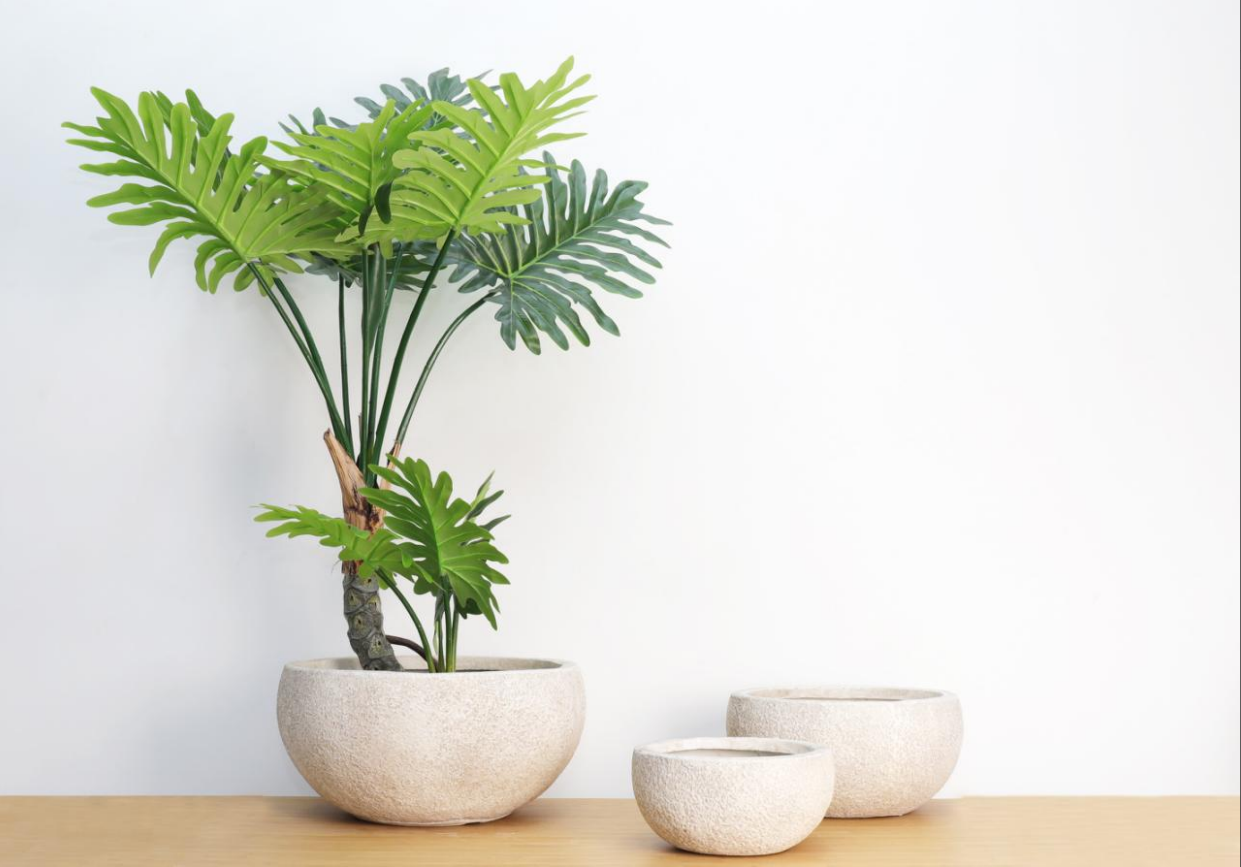 Cement Flower Pot