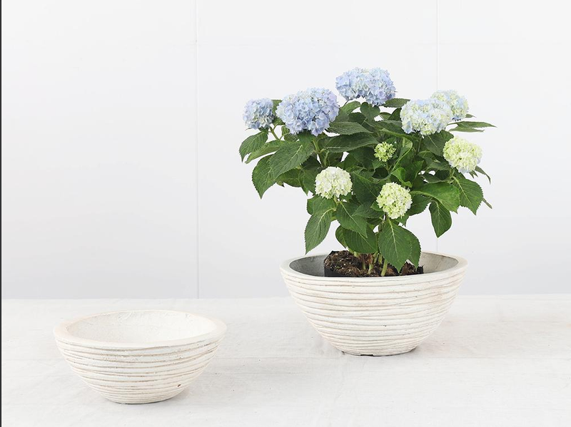 Cement Flower Pot